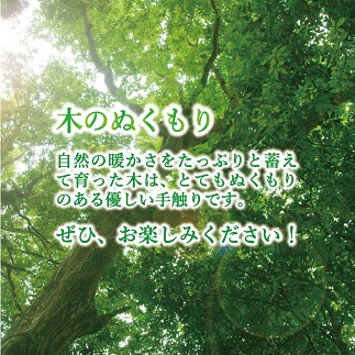 手づくり杉の積み木