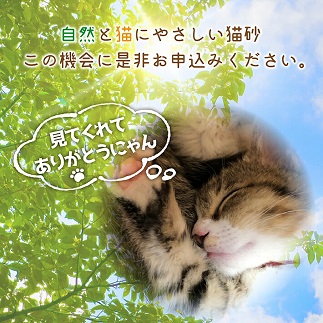 森の猫砂とおもちゃセット