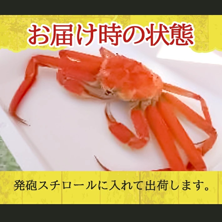 遊佐沖　春のボイル・本ズワイガニ 1匹 500g程度