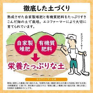 遊佐町産特別栽培庄内柿5kg 柿5kg