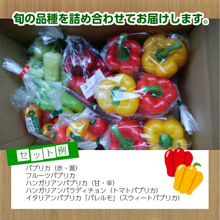 パプリカアラカルト　2kg