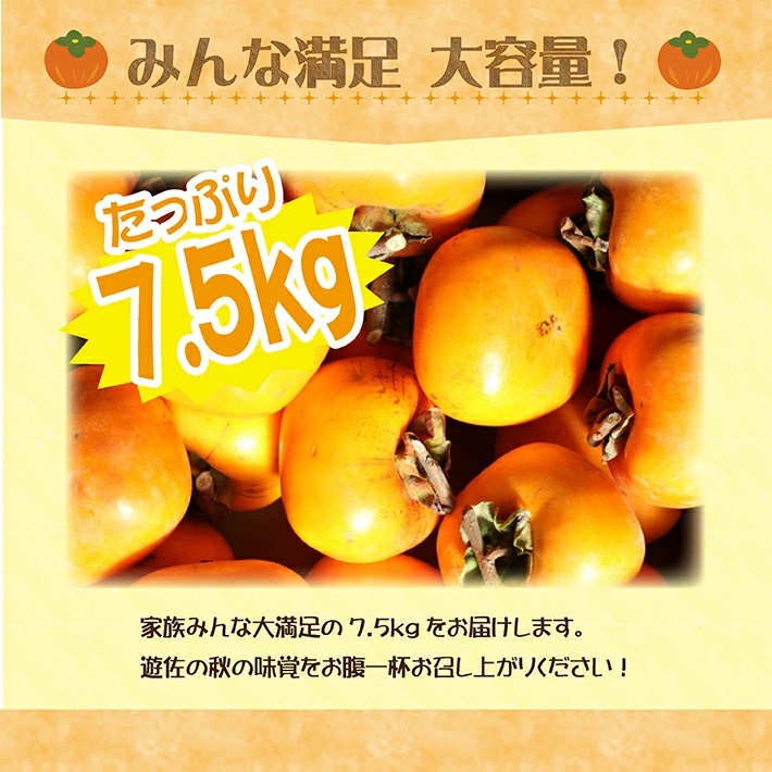 庄内柿 7.5kg 山形県遊佐町産 10月下旬～11月中旬頃お届け ※着日指定不可 東北 山形県 遊佐町 庄内地方 柿 カキ かき 種なし 種無し 平核無柿