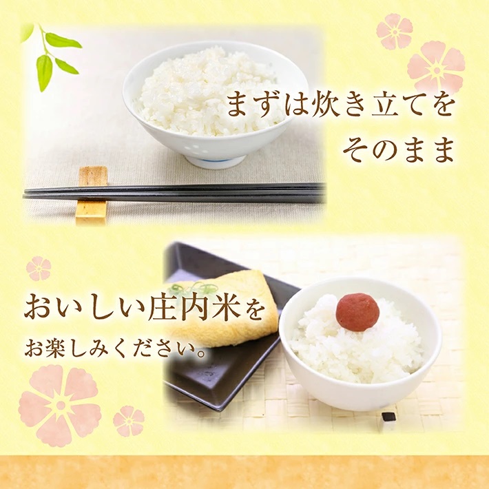 庄内産つや姫5kg（令和7年産米）3月中旬