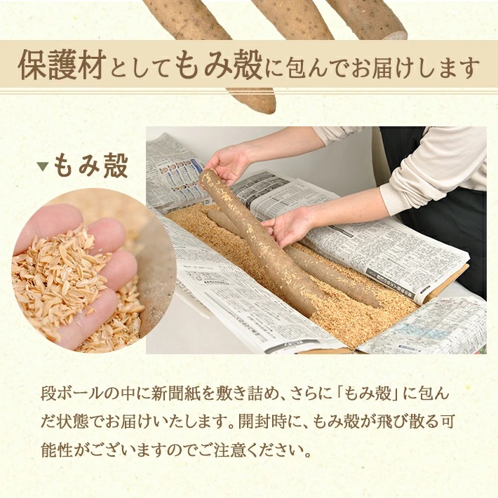 長いも 5.0kg（4～6本）山形県遊佐町産
