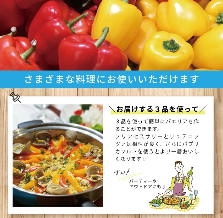 長粒米プリンセスサリー 3合（450g）リュテニッツァ 130g×1個 パプリカソルト 5g×2種 レシピ付き 遊佐のみのり 東北 山形県産 遊佐町 瓶詰 化学調味料・着色料・保存料不使用 国産野菜 野菜ペースト ペースト パプリカ 加工食品 パエリア 米 塩