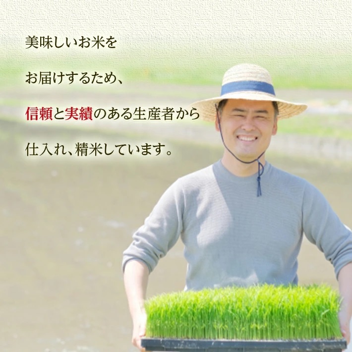 無洗米 こつぶ姫 5kg×1袋 計10kg　4月上旬