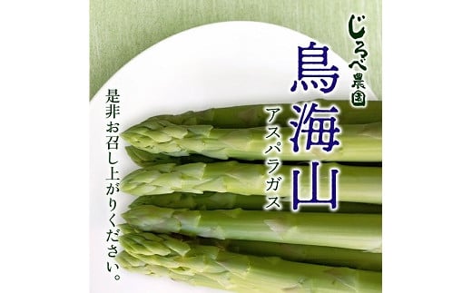 鳥海山アスパラガス 1.2kg 2026年3月下旬～8月下旬頃お届け 山形県遊佐町産 冷蔵便 ※離島発送・着日指定不可 野菜 アスパラ グリーンアスパラガス 農家直送 産地直送 山形県 遊佐町 庄内 春 夏