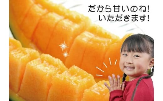 赤肉メロン 約5kg 4～5玉入 山形県遊佐町産 6月下旬～7月下旬頃お届け ※着日指定不可 果物 フルーツ メロン 赤肉 夏 東北 山形県 遊佐町 庄内 庄内砂丘 JA