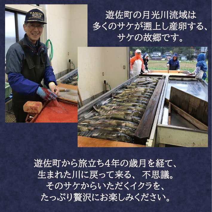 庄内浜の香箱「遊佐の味2p」　いくらの醤油漬け180g×2パック