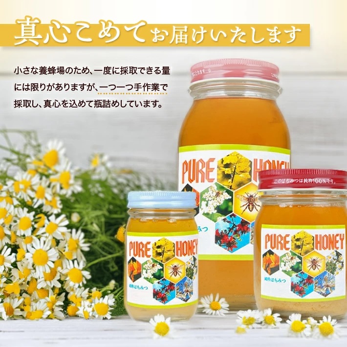 山形県遊佐町産　純粋はちみつ　430g 430g