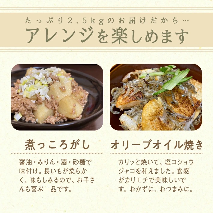 長いも 2.5kg（2～3本）山形県遊佐町産