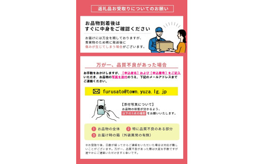 特別栽培庄内柿 5kg L～2Lサイズ 26～30個入り 山形県遊佐町産 2026年11月上旬～12月上旬頃お届け ※着日指定不可 東北 山形県 遊佐町 庄内地方 種無し柿 カキ かき 種無し 秋
