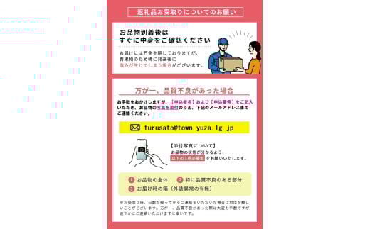 特別栽培庄内柿 2.5kg L～3Lサイズ 11～12個入り 山形県遊佐町産 2026年11月上旬～12月上旬頃お届け ※着日指定不可 東北 山形県 遊佐町 庄内地方 種無し柿 カキ かき 種無し