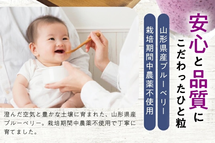 冷凍ブルーベリー1.5kg(500g×3袋) 山形県産 冷凍便 ※離島発送不可 冷凍 冷凍フルーツ ブルーベリー フルーツ ジャム ジュース スムージー 小分け お菓子作り ゆざ食彩工房 遊佐町 庄内 東北 1.5kg(500g×3袋)