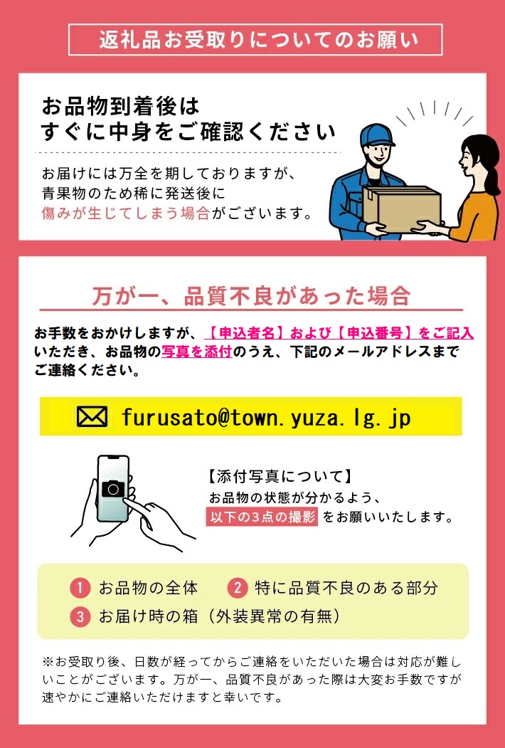 赤肉メロン 約5kg 4～5玉入 山形県遊佐町産 6月下旬～7月下旬頃お届け ※着日指定不可 果物 フルーツ メロン 赤肉 夏 東北 山形県 遊佐町 庄内 庄内砂丘 JA