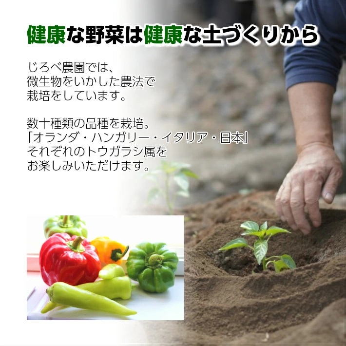 パプリカアラカルト　2kg