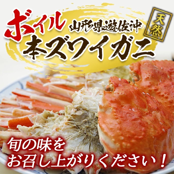 遊佐沖　春のボイル・本ズワイガニ 1匹 350g程度