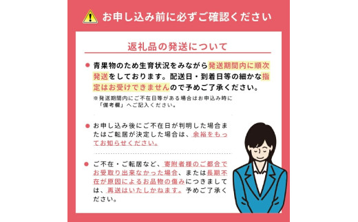 特別栽培庄内柿 2.5kg L～3Lサイズ 11～12個入り 山形県遊佐町産 2026年11月上旬～12月上旬頃お届け ※着日指定不可 東北 山形県 遊佐町 庄内地方 種無し柿 カキ かき 種無し
