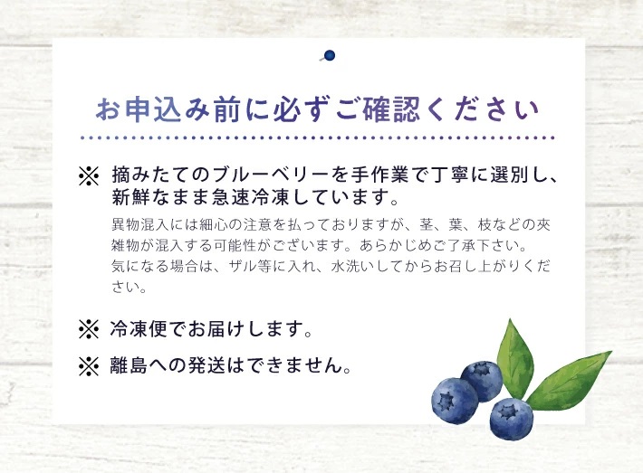 冷凍ブルーベリー2.0kg(500g×4袋) 山形県産 冷凍便 ※離島発送不可 冷凍 冷凍フルーツ ブルーベリー フルーツ ジャム ジュース スムージー 小分け お菓子作り ゆざ食彩工房 遊佐町 庄内 東北 2.0kg(500g×4袋)