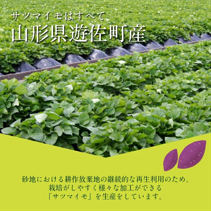 じろべの干し芋2種セット　ほのまんまスウィーツ120g×4パック　ほのまんまポリフェ120g×1パック