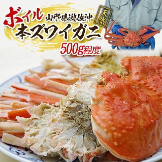 遊佐沖　ボイル・本ズワイガニ 1匹 500g程度