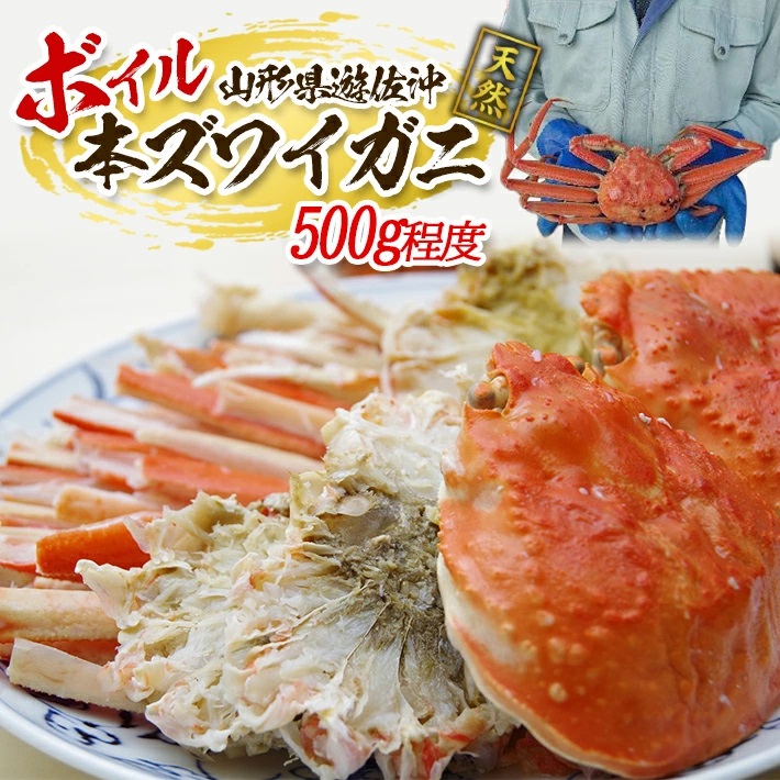 遊佐沖　春のボイル・本ズワイガニ 1匹 500g程度