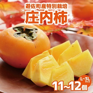 遊佐町産特別栽培庄内柿2.5kg 柿2.5kg