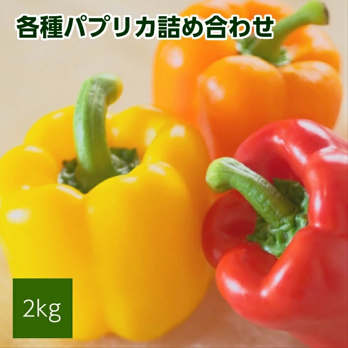 パプリカアラカルト　2kg