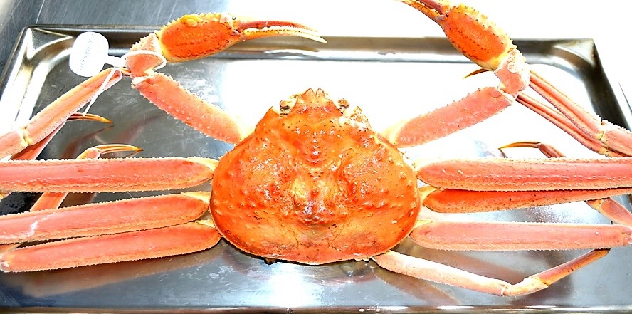 庄内浜産「蒸しズワイガニ」650g