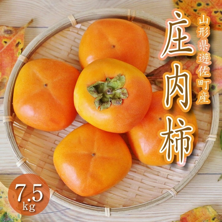 庄内柿 7.5kg 山形県遊佐町産 10月下旬～11月中旬頃お届け ※着日指定不可 東北 山形県 遊佐町 庄内地方 柿 カキ かき 種なし 種無し 平核無柿