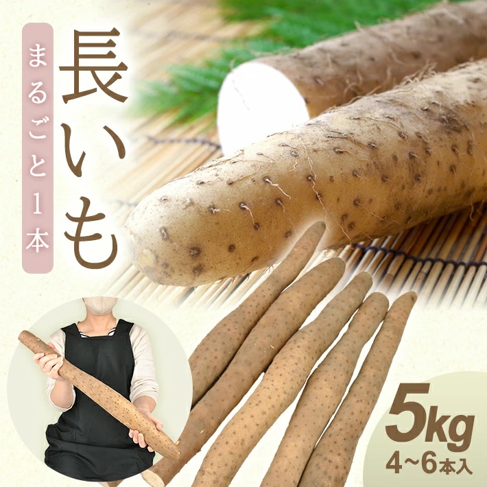 長いも 5.0kg（4～6本）山形県遊佐町産