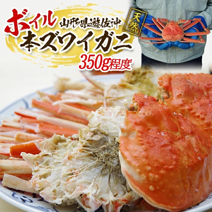 遊佐沖　春のボイル・本ズワイガニ 1匹 350g程度