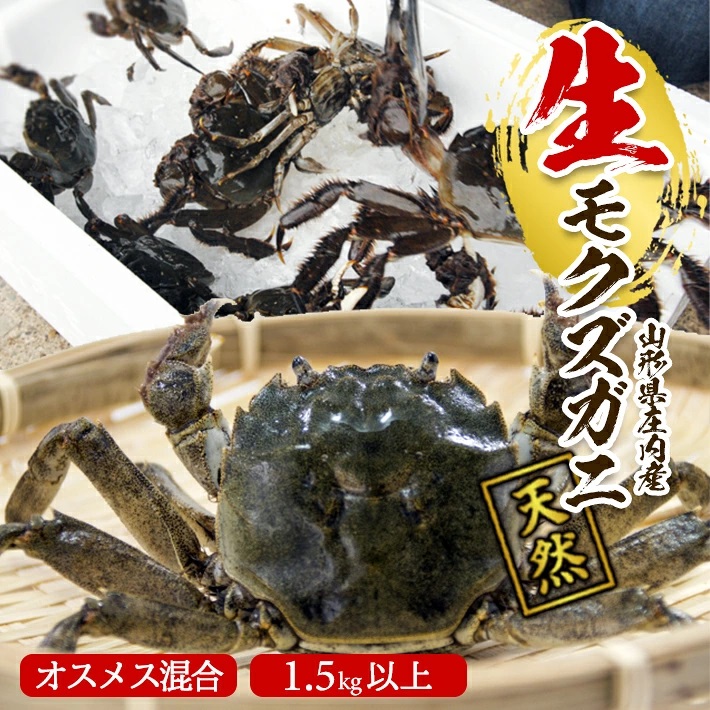 春の生・天然モクズガニ 1.5kg以上 8～15匹