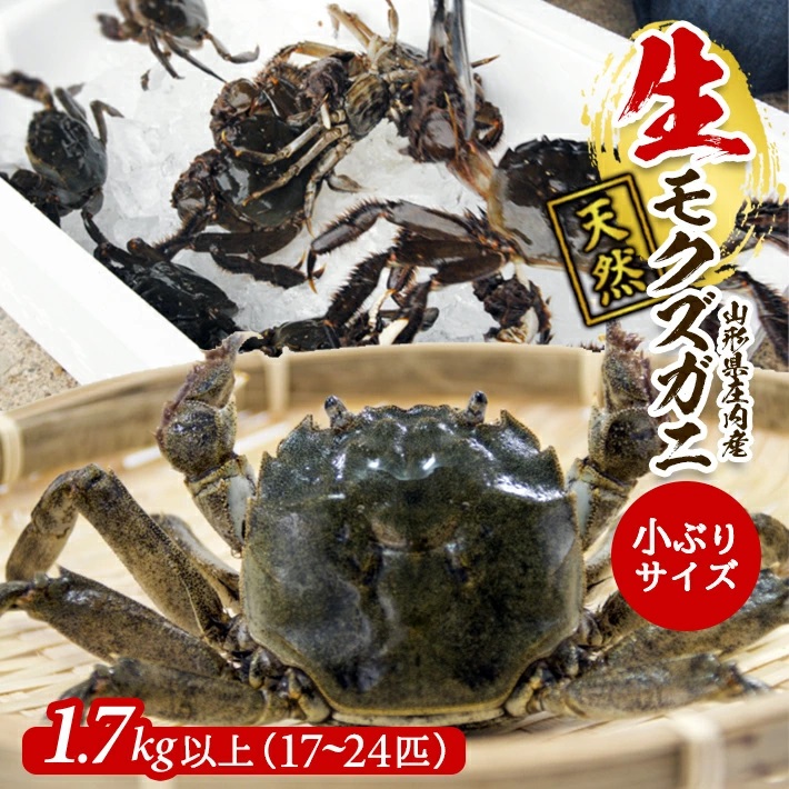 春の生・天然モクズガニ 1.7kg以上 小ぶりサイズ 17～24匹 オス・メス混合 山形県庄内産 2026年2月下旬～4月下旬頃順次発送 冷蔵便 ※着日指定・離島（沖縄県を含む）発送不可 カニ 蟹 かに 川ガニ 新鮮 鮮魚 まるごと 姿 カニみそ 味噌汁 蒸し蟹 期間限定
