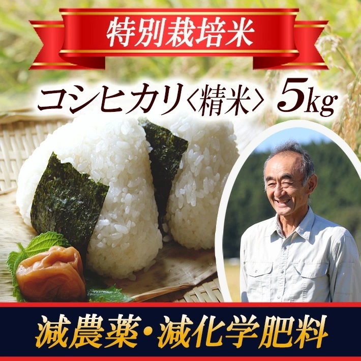 特別栽培米 コシヒカリ5kg 山形県遊佐産 鳥海山の恵（令和7年産米）