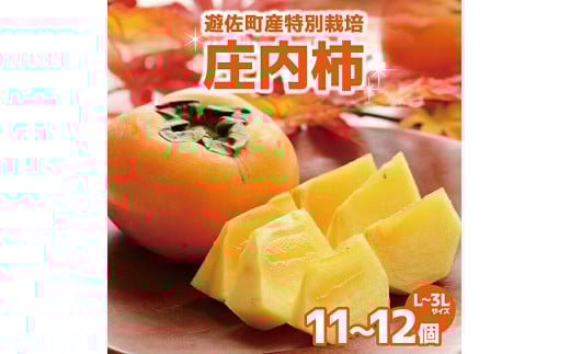 特別栽培庄内柿 2.5kg L～3Lサイズ 11～12個入り 山形県遊佐町産 2026年11月上旬～12月上旬頃お届け ※着日指定不可 東北 山形県 遊佐町 庄内地方 種無し柿 カキ かき 種無し