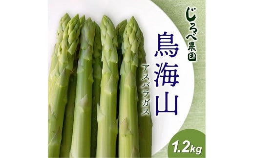 鳥海山アスパラガス 1.2kg 2026年3月下旬～8月下旬頃お届け 山形県遊佐町産 冷蔵便 ※離島発送・着日指定不可 野菜 アスパラ グリーンアスパラガス 農家直送 産地直送 山形県 遊佐町 庄内 春 夏