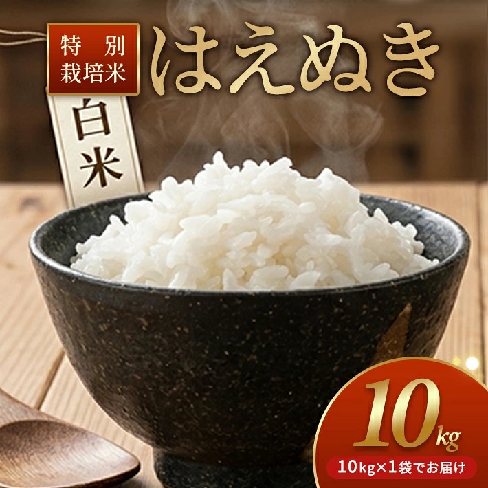 特別栽培米 はえぬき 10kg 白米 令和7年産 山形県産 東北 山形県 遊佐町 庄内地方 米 お米 庄内米 精米 ご飯 ごはん 産地直送 農家直送