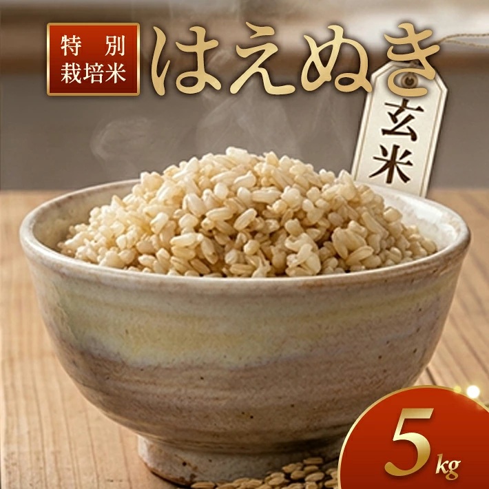 特別栽培米 はえぬき 5kg 玄米 令和7年産 山形県産 東北 山形県 遊佐町 庄内地方 米 お米 庄内米 ご飯 ごはん 産地直送 農家直送