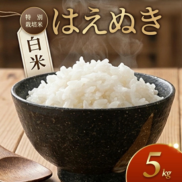 特別栽培米 はえぬき 5kg 白米 令和7年産 山形県産 東北 山形県 遊佐町 庄内地方 米 お米 庄内米 精米 ご飯 ごはん 産地直送 農家直送