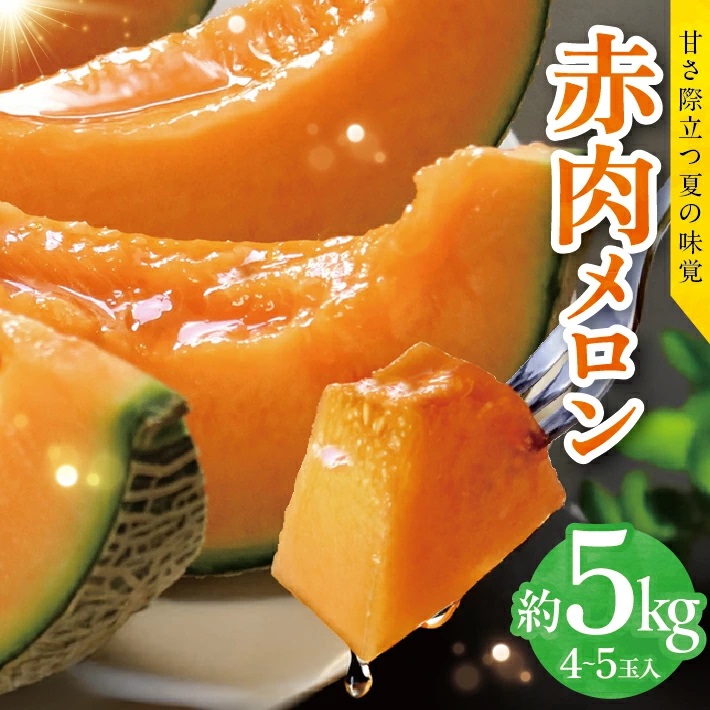 赤肉メロン 約5kg 4～5玉入 山形県遊佐町産 6月下旬～7月下旬頃お届け ※着日指定不可 果物 フルーツ メロン 赤肉 夏 東北 山形県 遊佐町 庄内 庄内砂丘 JA