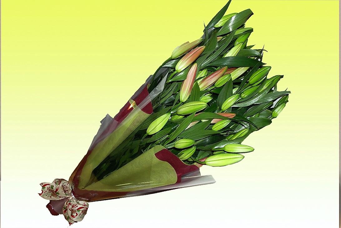 オリエンタルユリ　90cm×12本（12月発送）