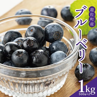 大粒ブルーベリー500ｇ×2パック計1kg化粧箱入り
