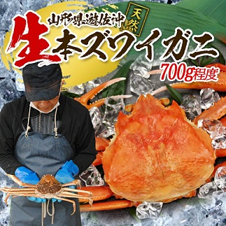 遊佐沖　生・本ズワイガニ 1匹 700g程度