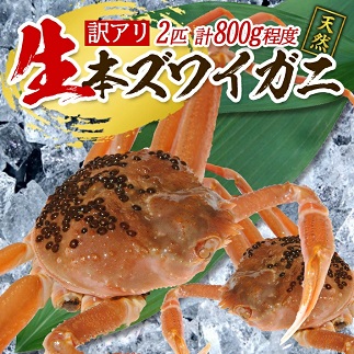 訳あり 遊佐沖 生・本ズワイガニ 2匹 計800g程度（1～2本足折れ）