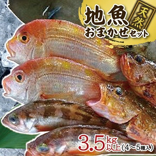 地魚おまかせセット　4～5種類入り計3.5kg以上