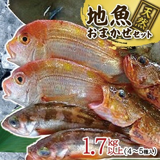 地魚おまかせセット　4～5種類入り計1.7kg以上