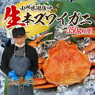 遊佐沖　春の生・本ズワイガニ 1匹 350g程度