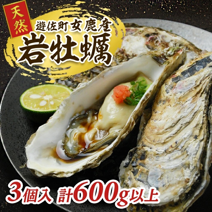 遊佐町女鹿産の天然岩牡蠣3個入り(600g以上)