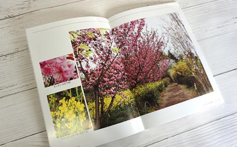 No.1148　写真集 ふくしまの桃源郷「花見山」